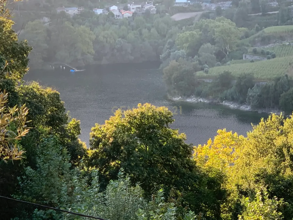 Helårsgrund i Vieira do Minho, Braga - foto 5