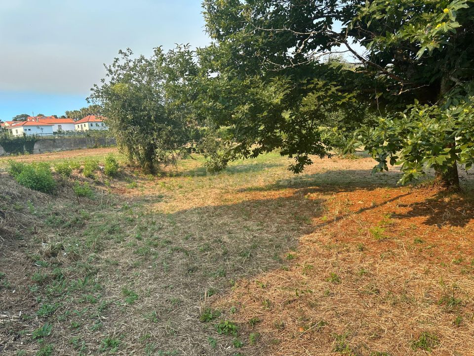 Helårsgrund i Vila Verde, Braga - foto 3