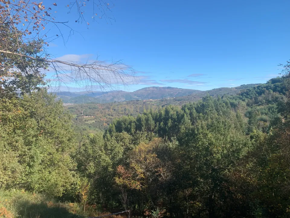 Helårsgrund i Vieira do Minho, Braga - foto 5