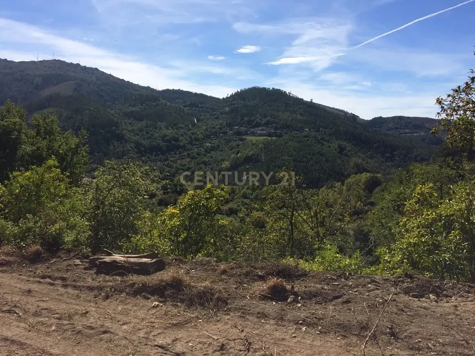 Land in Parada do Bouro, Braga - photo 2