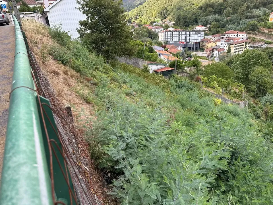 Helårsgrund i Braga, Braga - foto 2