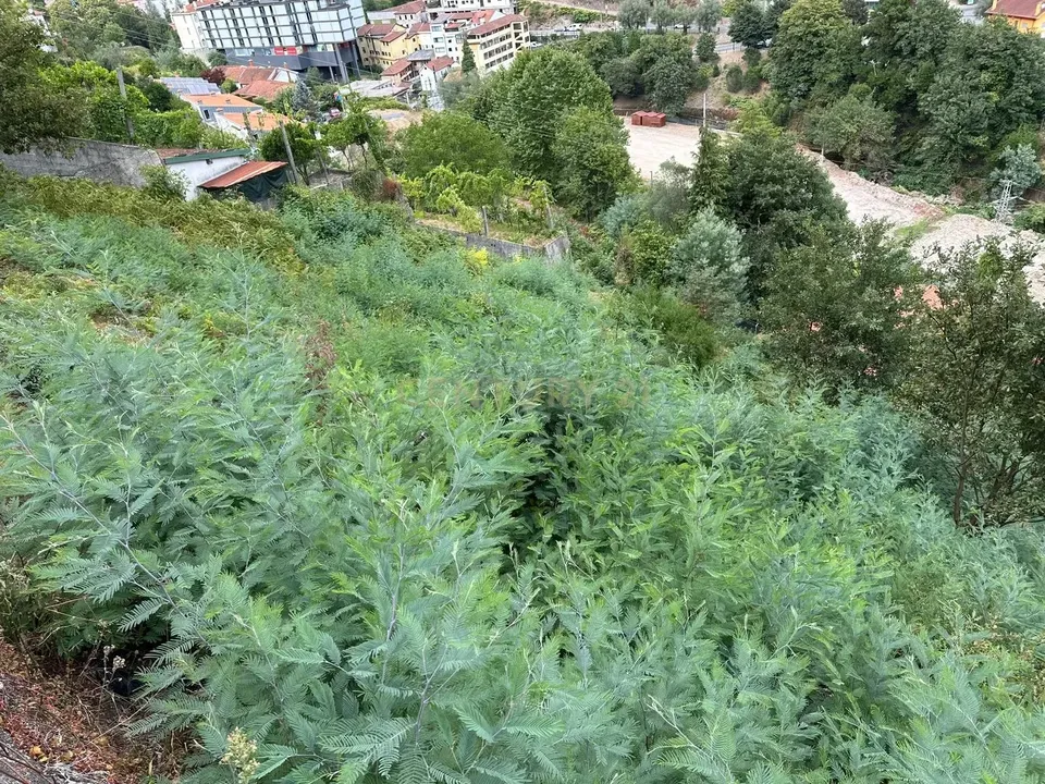 Helårsgrund i Braga, Braga - foto 5