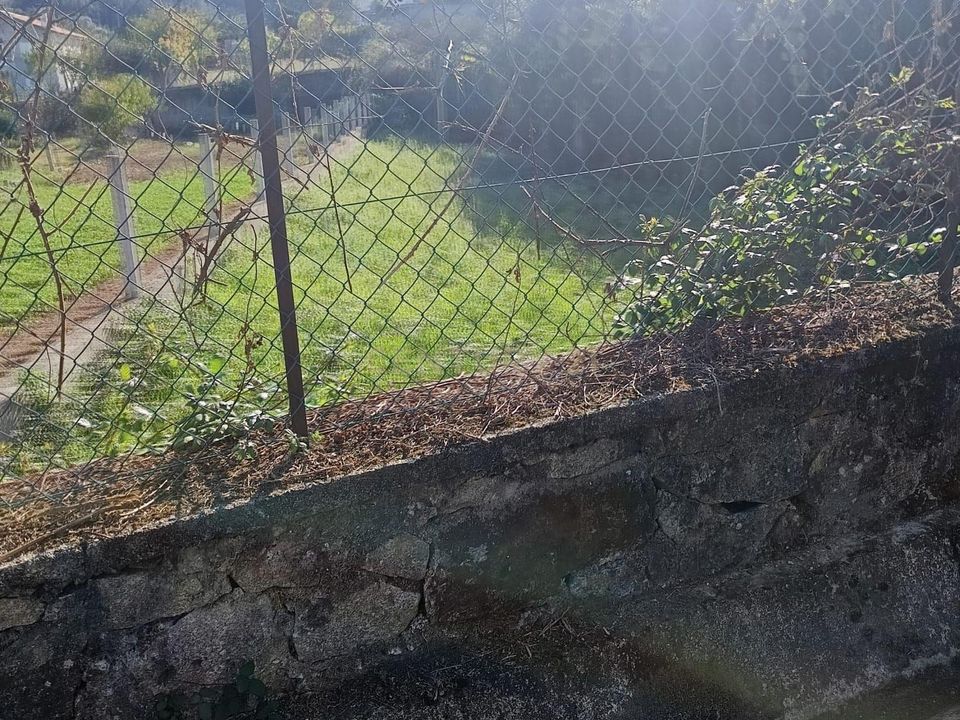 Helårsgrund i Vila Verde, Braga - foto 5