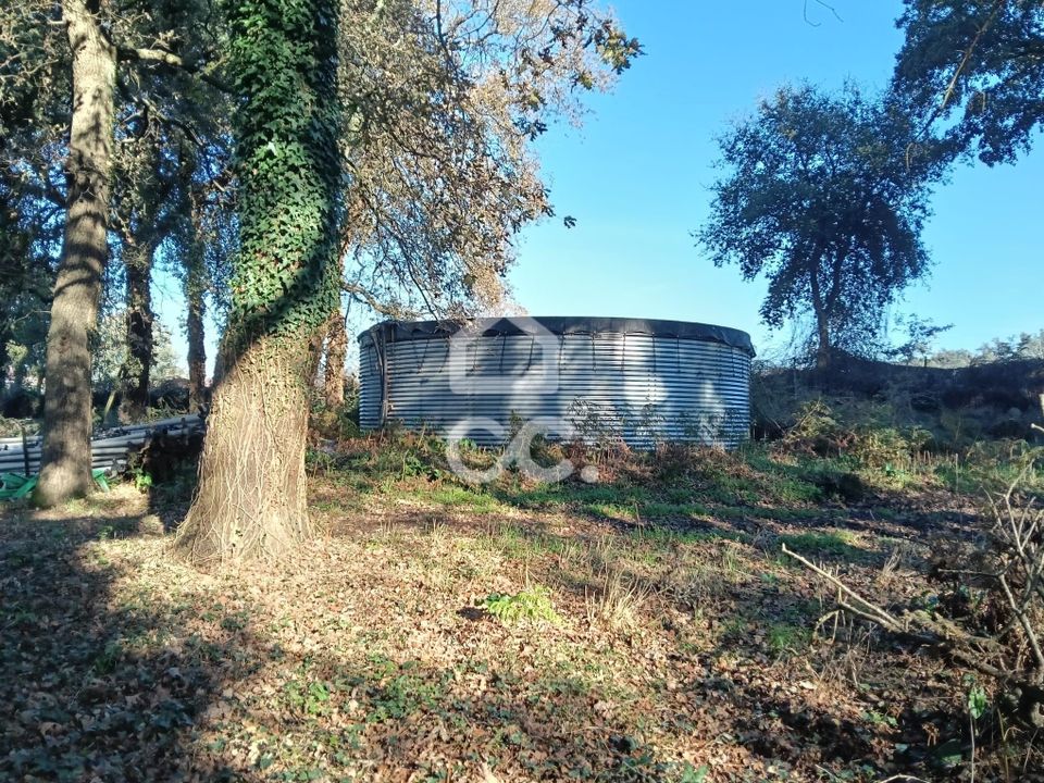 Helårsgrund i Vila Nova de Famalicao, Braga - foto 3