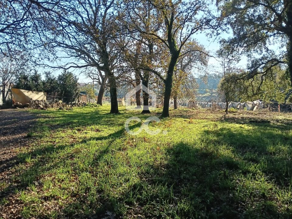 Helårsgrund i Vila Nova de Famalicao, Braga - foto 4