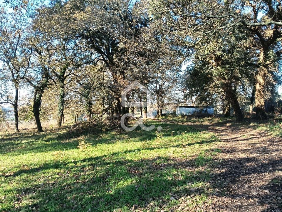 Helårsgrund i Vila Nova de Famalicao, Braga - foto 5