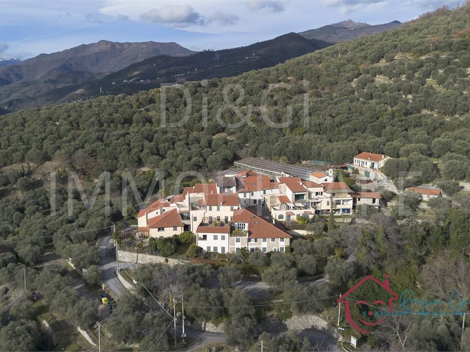 Landejendom i Ranzo, Imperia - foto 3