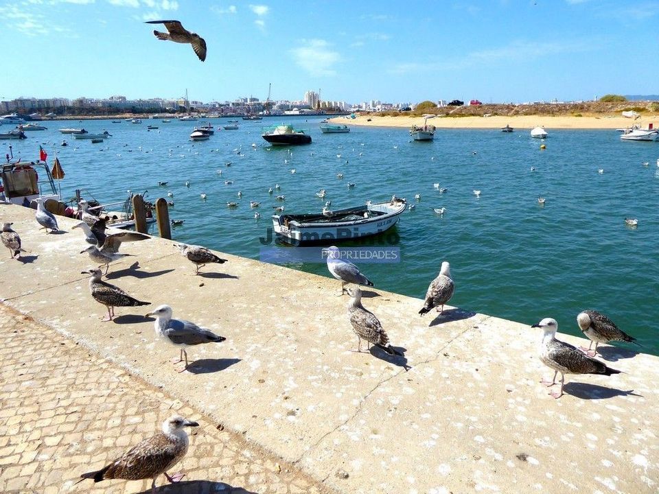 Helårsgrund i Lagoa, Faro - foto 4