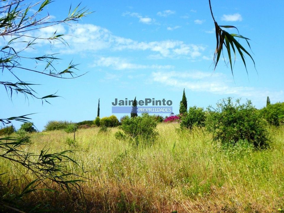 Helårsgrund i Lagoa, Faro - foto 3