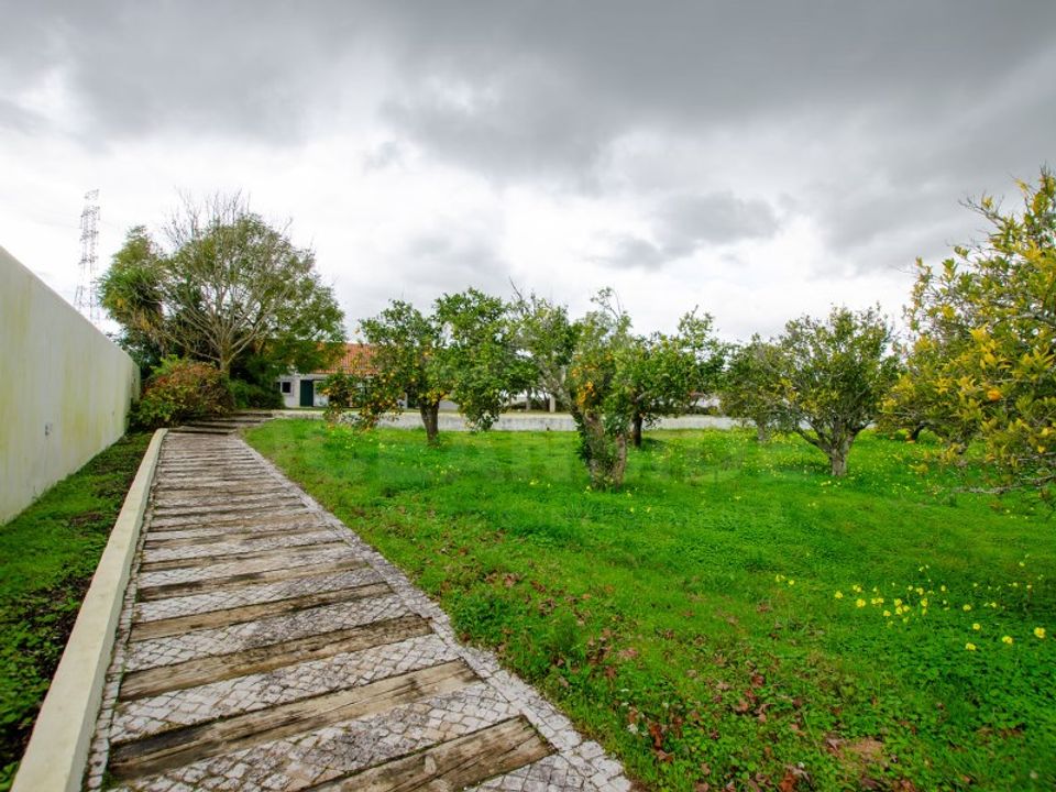 Gård i Vendas Novas, Evora - bilde 2