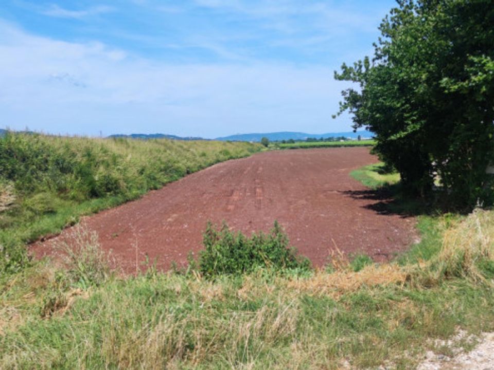 Helårsgrund i Monteforte d'Alpone, Verona - foto 4