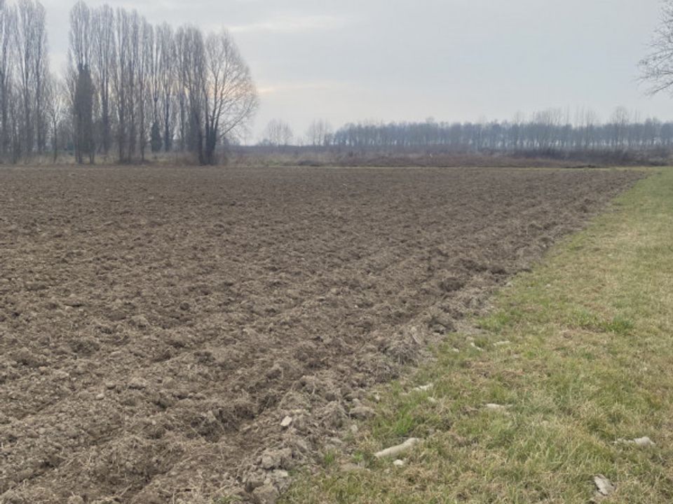 Helårsgrund i Sant'Angelo di Piove di Sacco, Padua - foto 1