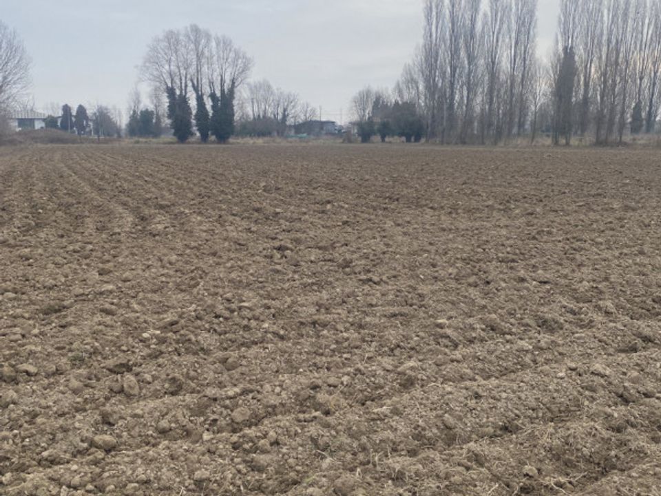 Helårsgrund i Sant'Angelo di Piove di Sacco, Padua - foto 2