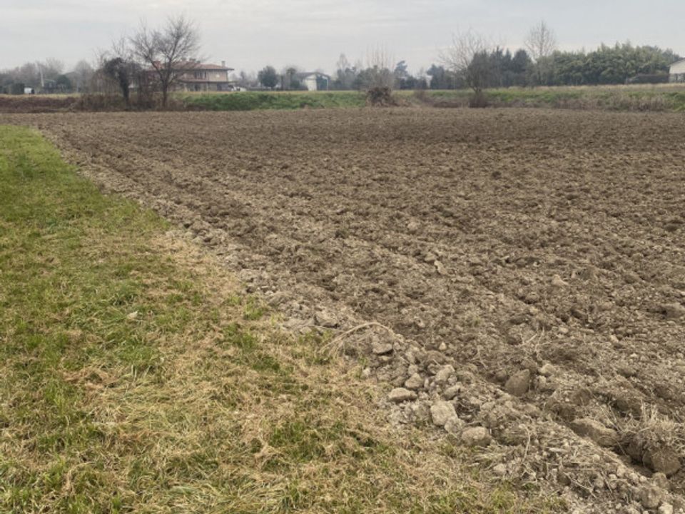 Helårsgrund i Sant'Angelo di Piove di Sacco, Padua - foto 4