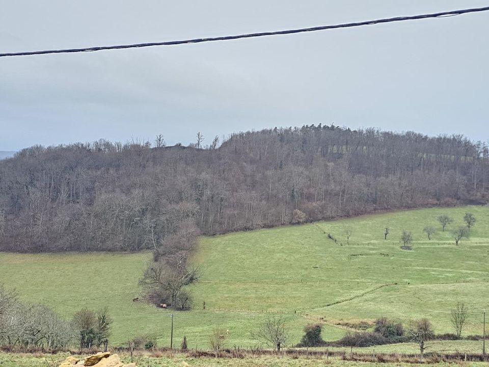 Farm hus i Brussieu, Rhone - foto 3