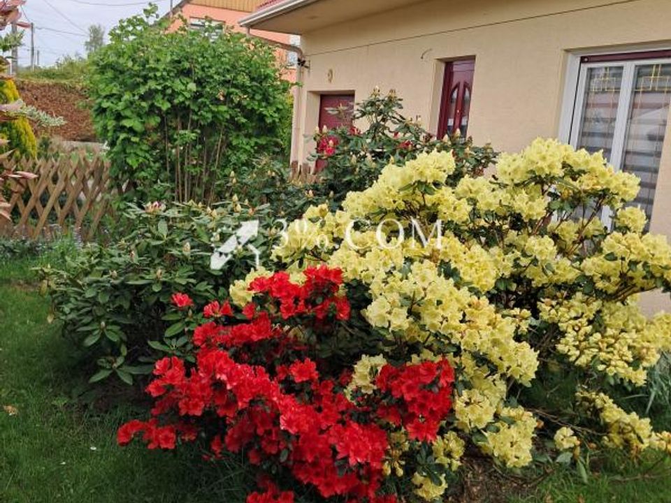 Bungalow i Chanteheux, Meurthe-et-Moselle - foto 1