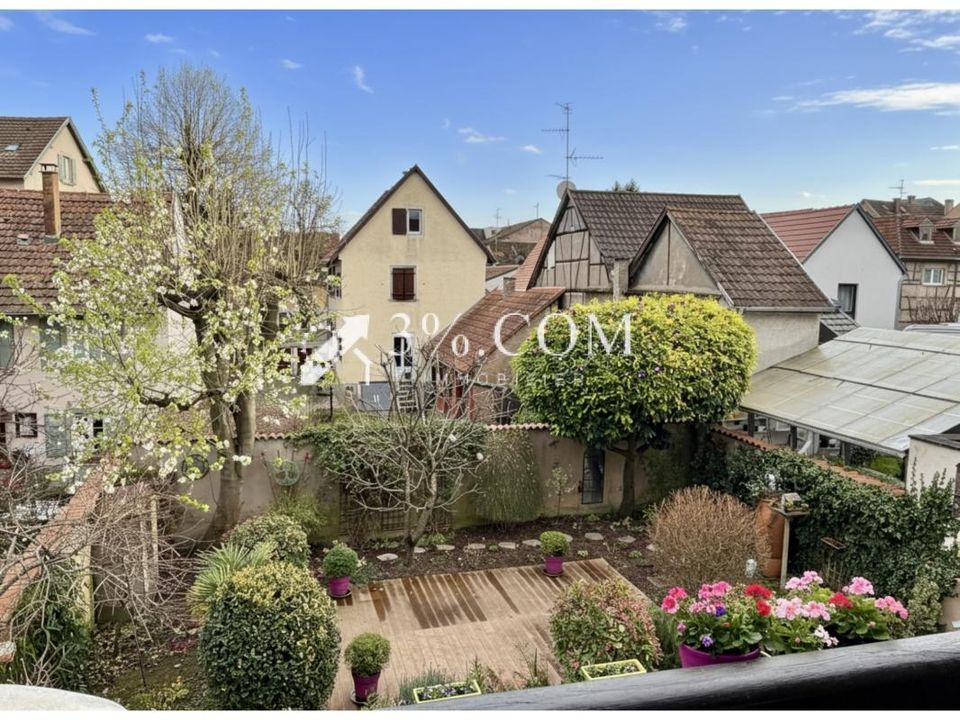 Leilighet i Schiltigheim, Bas-Rhin - bilde 3