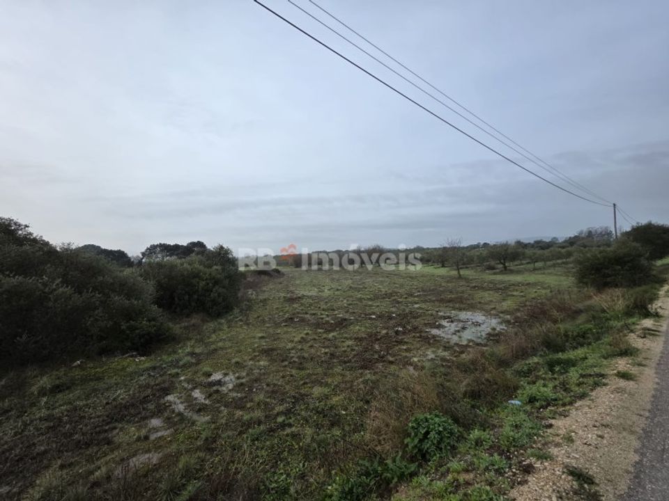 Helårsgrund i Olaia e Paco, Santarem - foto 3
