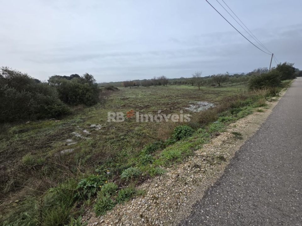 Helårsgrund i Olaia e Paco, Santarem - foto 2