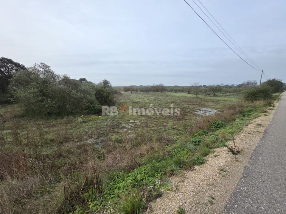 Helårsgrund i Olaia e Paco, Santarem - foto 4