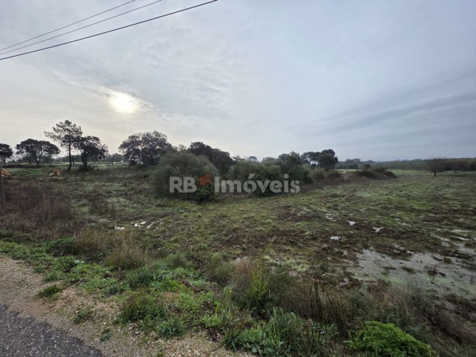 Helårsgrund i Olaia e Paco, Santarem - foto 5