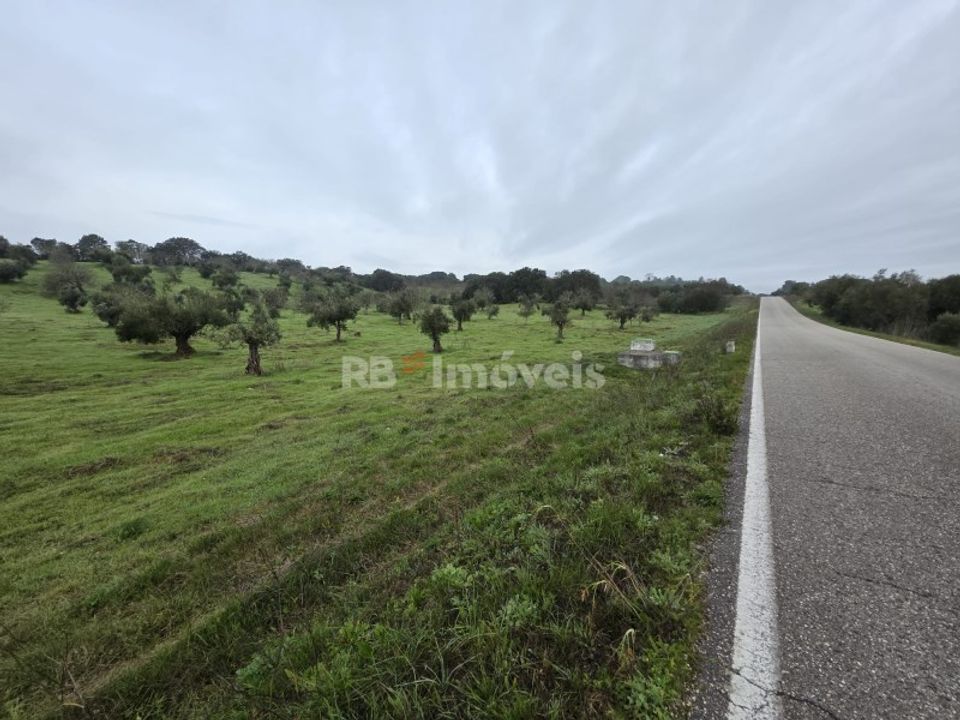 Helårsgrund i Olaia e Paco, Santarem - foto 3