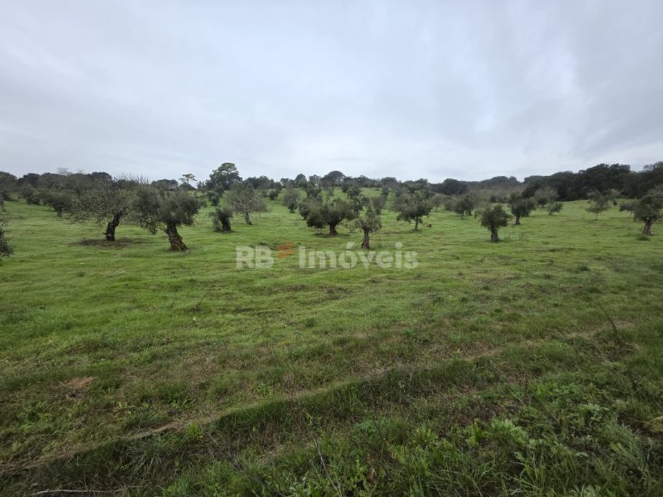 Helårsgrund i Olaia e Paco, Santarem - foto 4