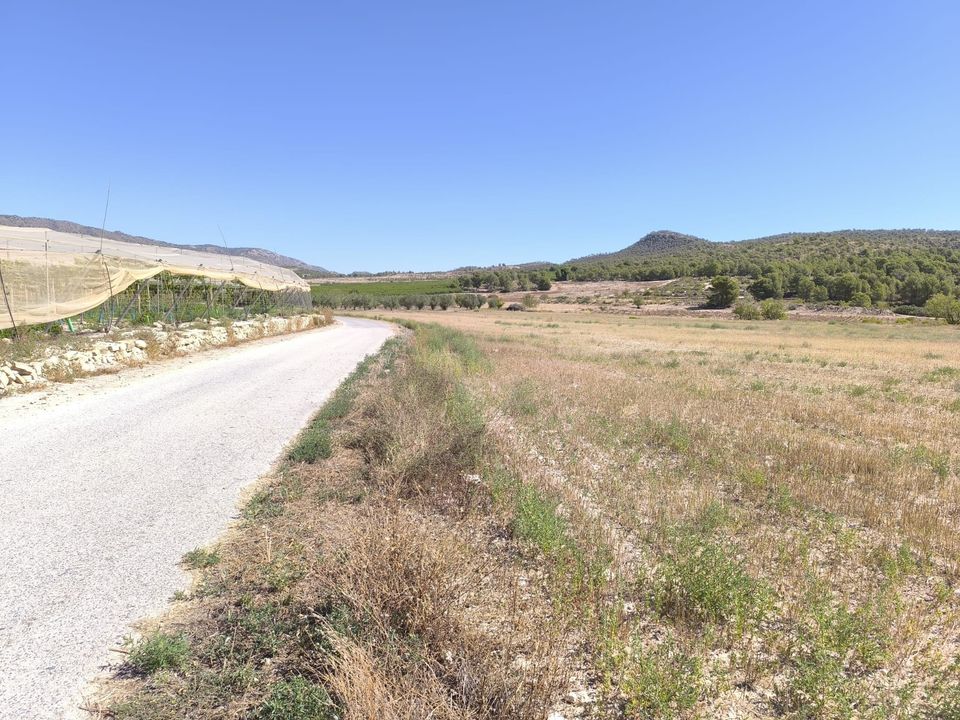 Helårsgrund i Monovar, Alicante - foto 2