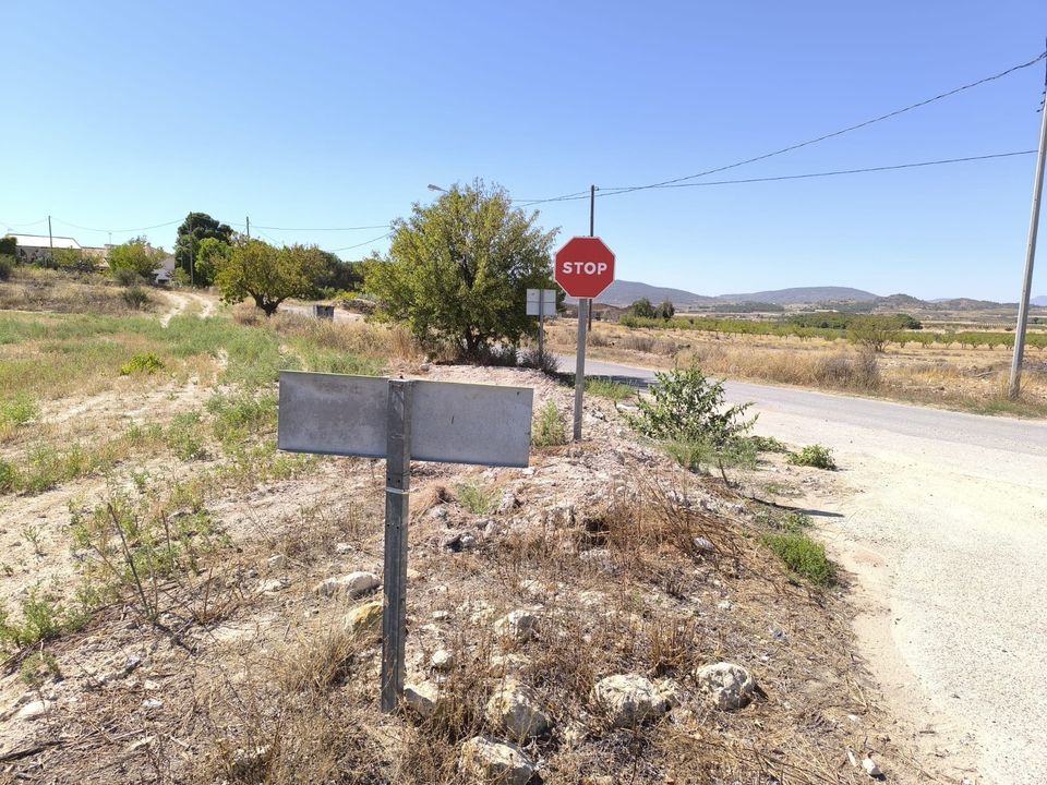 Helårsgrund i Monovar, Alicante - foto 4
