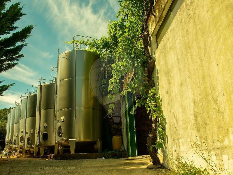 Farm hus i Sao Joao da Pesqueira, Viseu - foto 1
