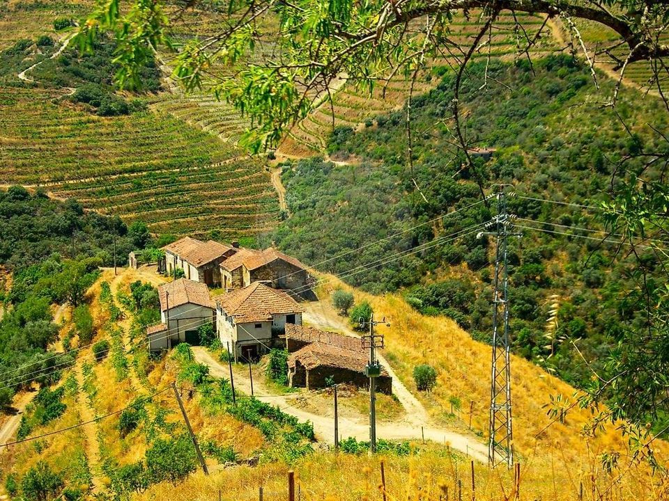 Farm hus i Sao Joao da Pesqueira, Viseu - foto 4