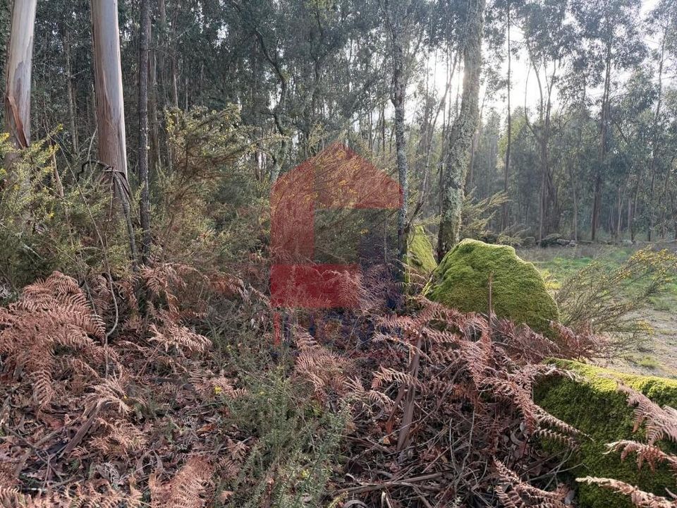 Helårsgrund i Amares, Braga - foto 3