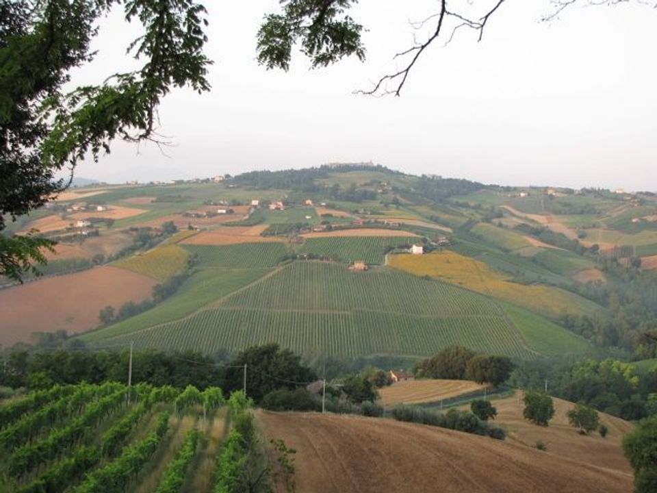 Erhvervsejendom i Ripatransone, Ascoli Piceno - foto 4