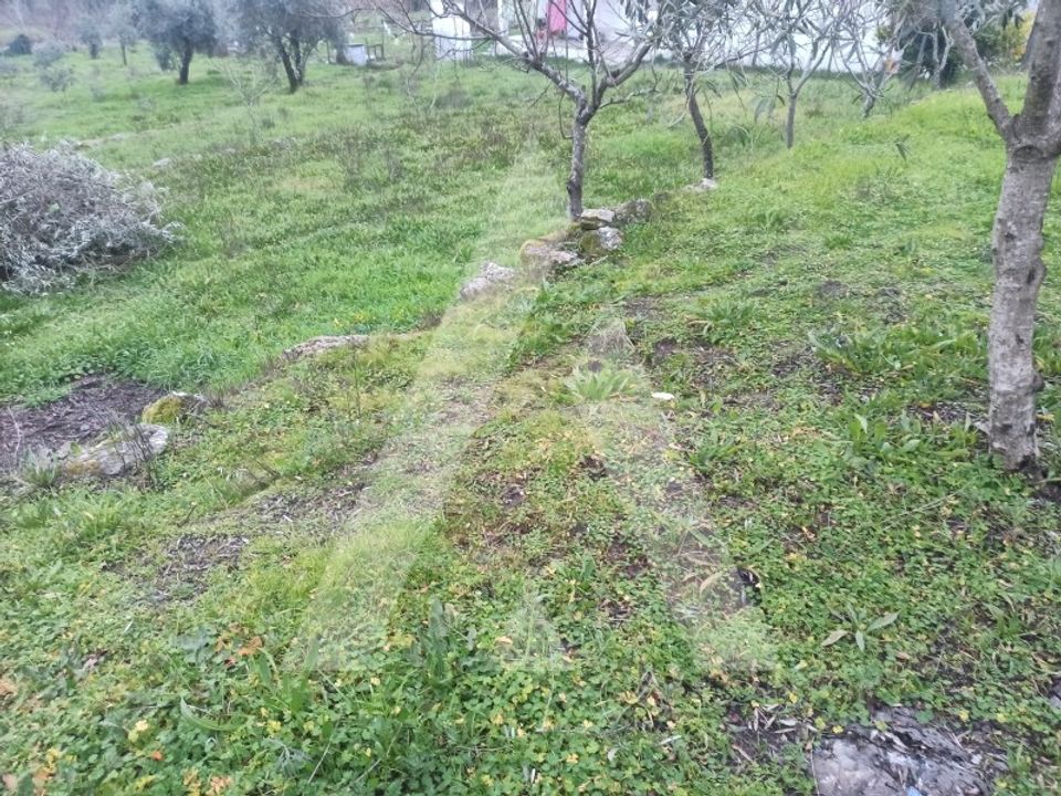 Erhvervsejendom i Faíl e Vila Chã de Sá, Viseu - foto 4