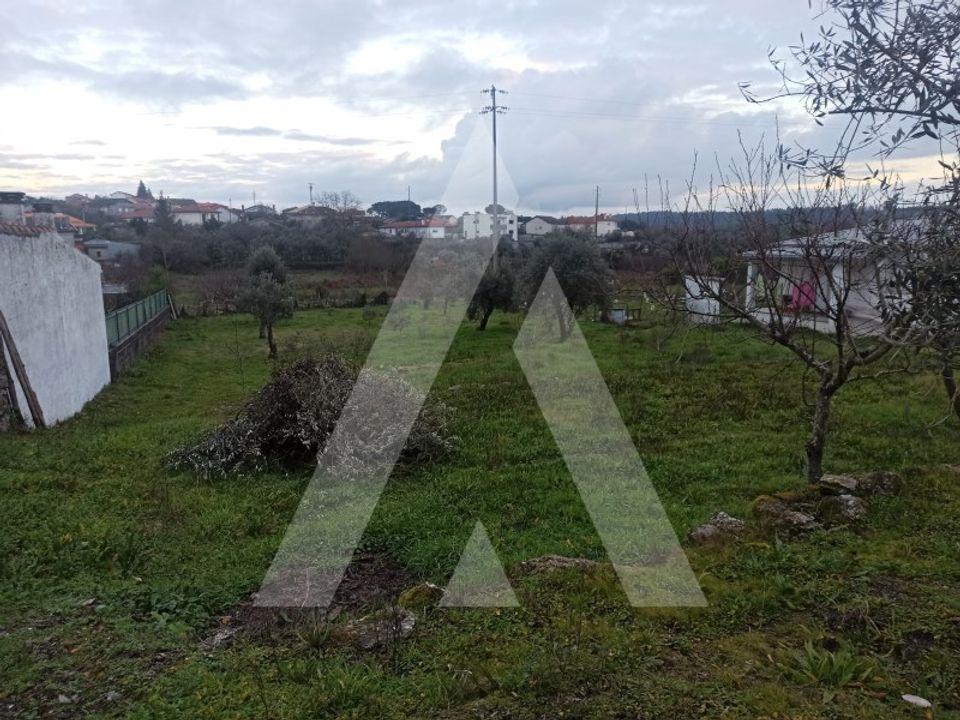 Erhvervsejendom i Faíl e Vila Chã de Sá, Viseu - foto 5