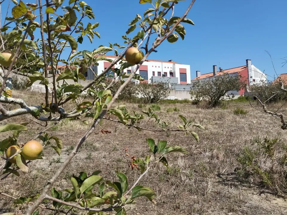 Helårsgrund i Torres Vedras, Lisbon - foto 5
