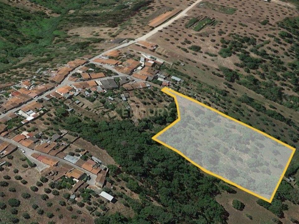 Helårsgrund i Abrantes, Santarem - foto 4