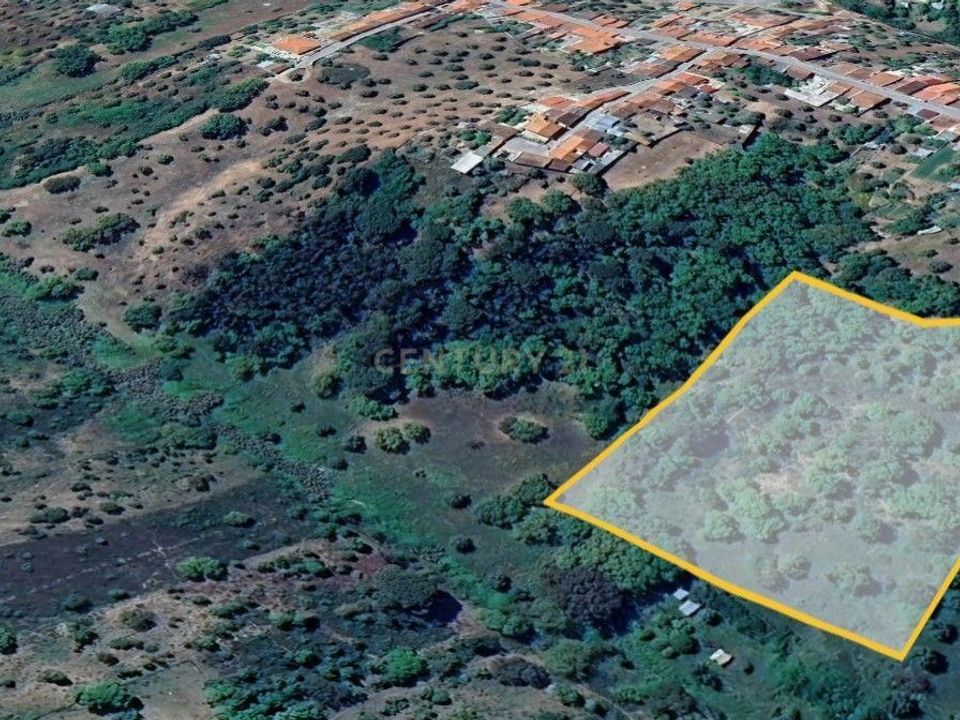 Helårsgrund i Abrantes, Santarem - foto 5