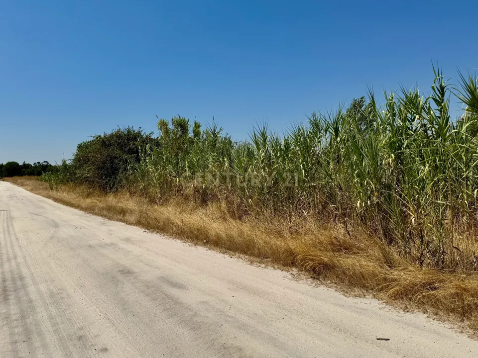 Helårsgrund i Benavente, Santarem - foto 3