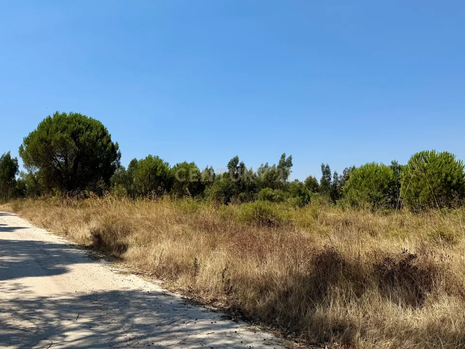 Helårsgrund i Benavente, Santarem - foto 4