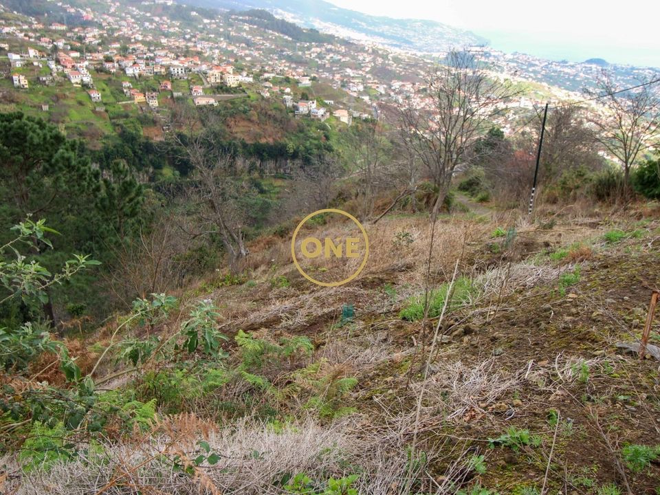 Helårsgrund i Camara de Lobos, Madeira - foto 1