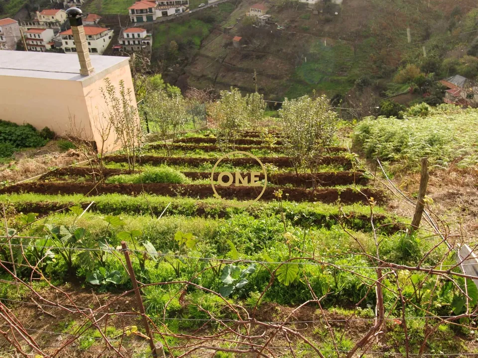 Helårsgrund i Camara de Lobos, Madeira - foto 1