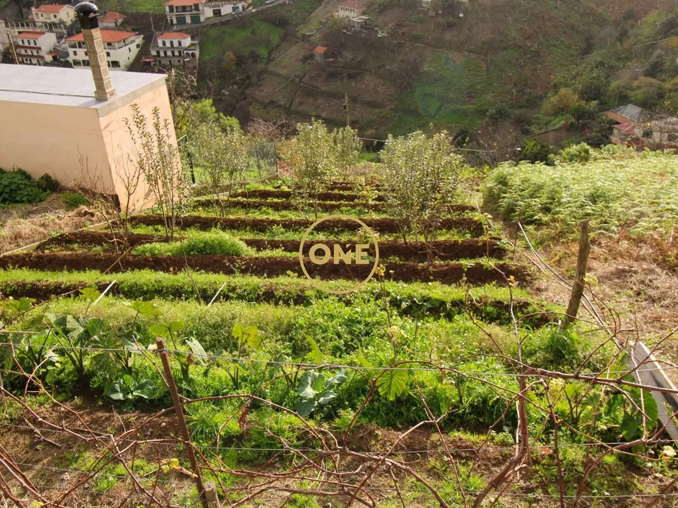 Helårsgrund i Camara de Lobos, Madeira - foto 2