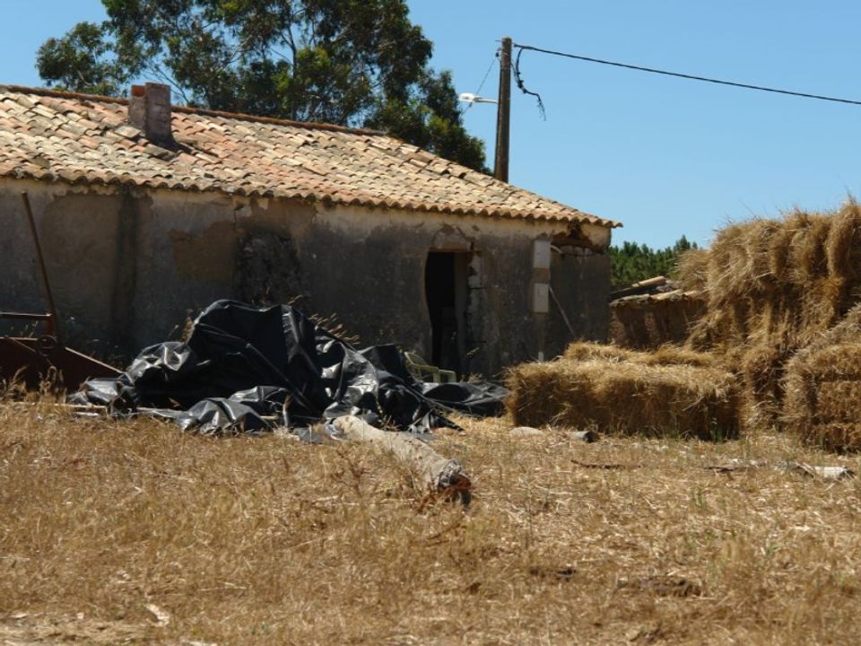 Farm i Odeceixe, Faro - foto 1