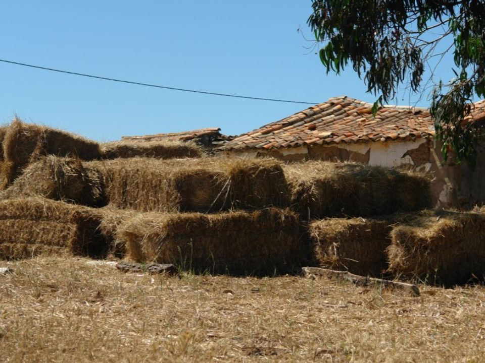 Farm i Odeceixe, Faro - foto 2