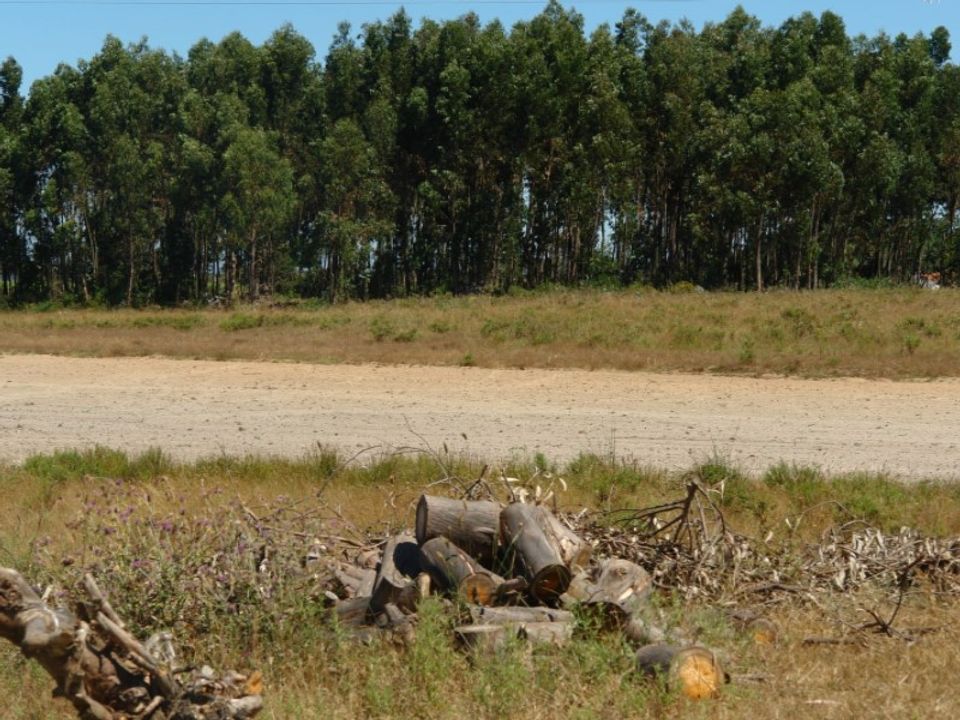 Farm i Odeceixe, Faro - foto 3