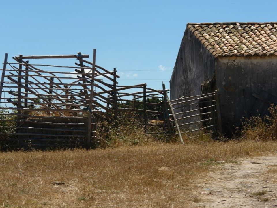 Farm i Odeceixe, Faro - foto 4