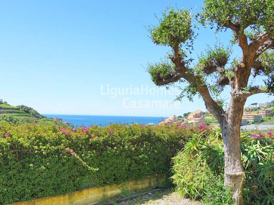 Villa i Santo Stefano Al Mare, Imperia - foto 2
