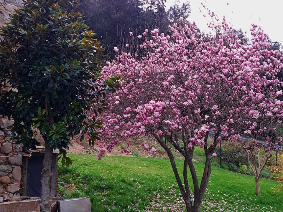 Landejendom i Sant Gregori (Municipio), Gerona - foto 4