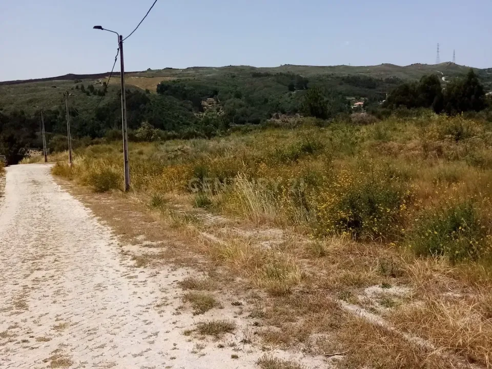 Terra a Grilo, Porto - foto 3